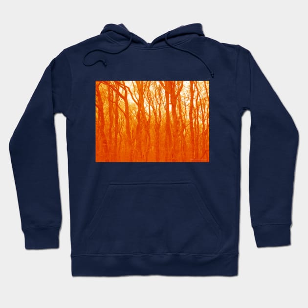 VELVET WOOD: Orange Hoodie by Danny Germansen